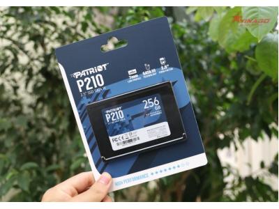 Ổ cứng SSD PATRIOT210 256Gb SATA III Chính Hãng